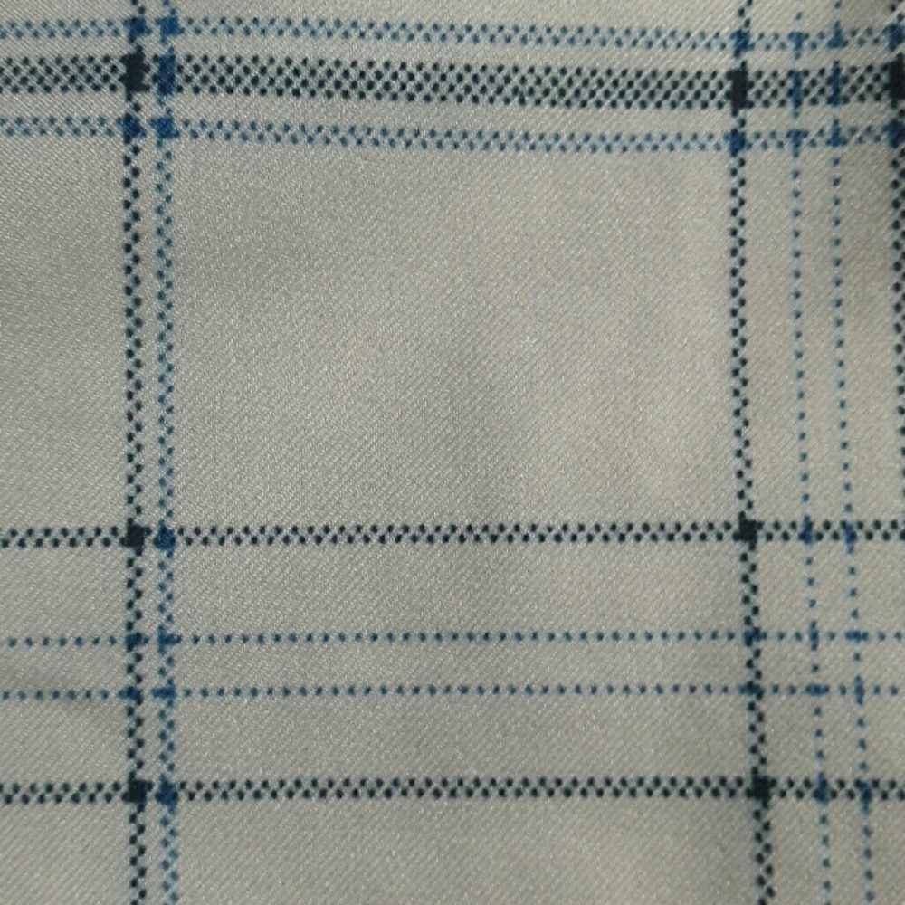 🏖 KIRKLAND Men's White and Blue Plaid Golf Shorts, 38 - Picture 2 of 6